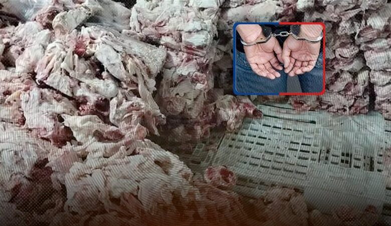 القبض على شقيق نائب شبين القناطر بتهمة الإتجار فى «الفراخ واللحوم الفاسدة» 1 334