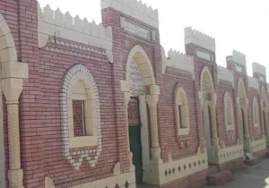 صراع حفاري القبور.. الأمن يكشف غموض هياكل بشرية بصعيد مصر 3 5826bb89 2a0e 4b18 9bb9 f8afb0a0c77c
