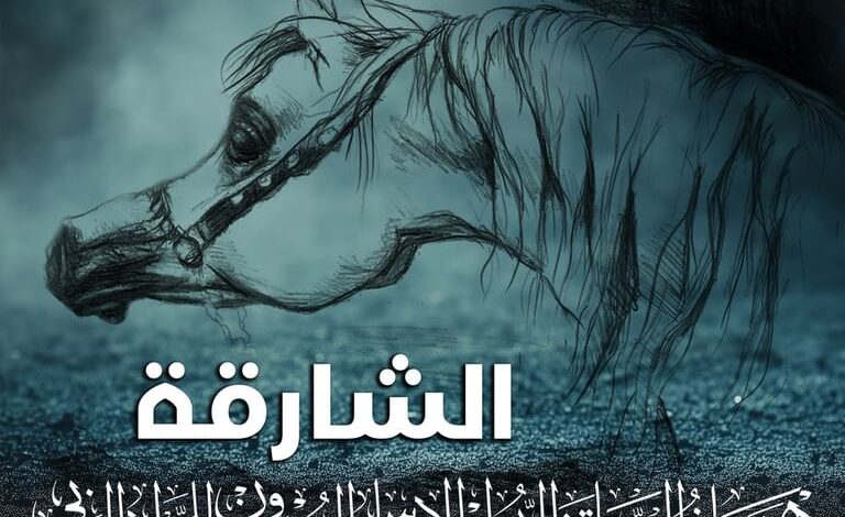 251 جوادا يشاركون في مهرجان الشارقة الدولي للجواد العربي 1 4vn02l5n1k90wt0pn