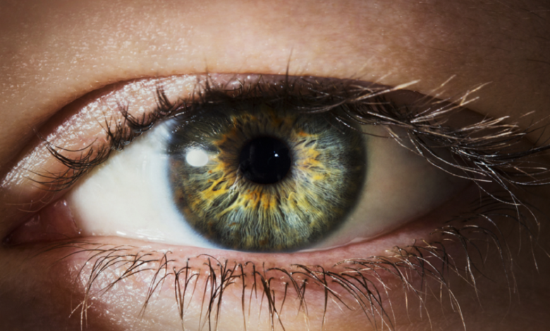 "معجزة طبية".. علماء يطورون علاجا يعيد البصر المفقود 1 67e669fe4c59b70d3020a17b
