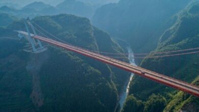 68da734742360424011dbe18