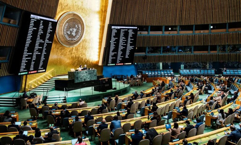 الجمعية العامة للأمم المتحدة تعتمد بأغلبية 142 دولة مشروع قرار "حل الدولتين" 1 ww9073a51k91id7pn