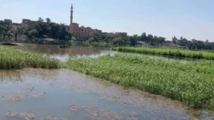 8cec37dd 73e1 4ccb b2b1 f6b94c61fedd 16x9 1200x676