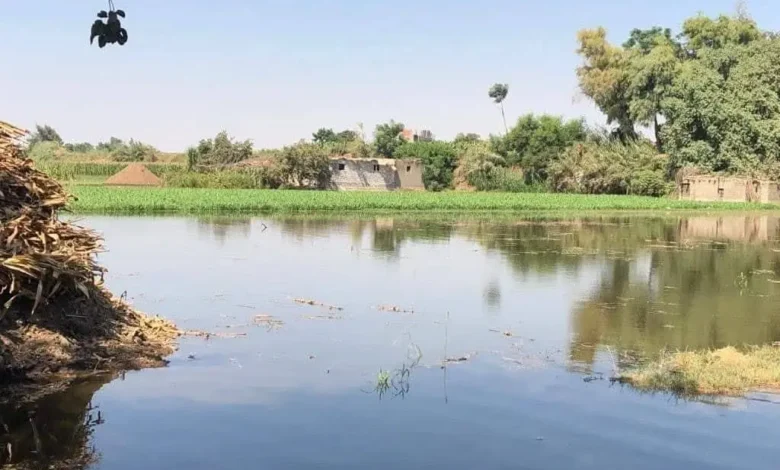 ea9778ed f2e4 4cc2 a01f 7582d1f8b54e