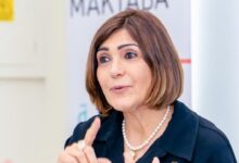 الأستاذة الدكتورة سوزان القليني