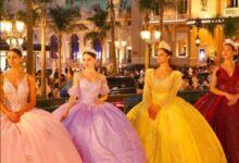 205 191422 4939ab7e a680 44b8 a52a 1cf41e00e5ab