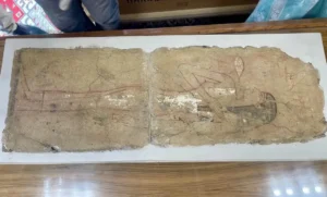 4a12379c d9f4 421e b5bb 87363fef0551