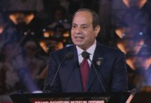 690655f54236041efc2a335c