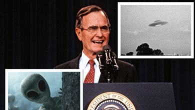 6921f94b4236042eed36f717