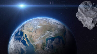 69280f3342360464496aee7b