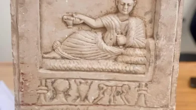 f54008ad 2864 4dc9 8fe1 30ee50335a64