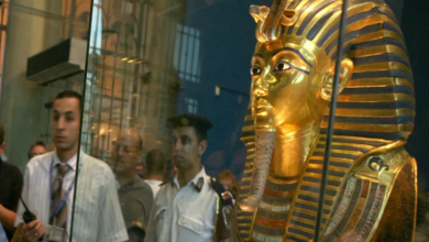 694d92774c59b722e02563eb