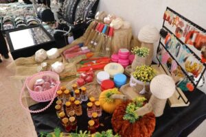 88368 القرية التراثية بالوادى الجديد 32