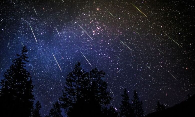 سماء المنطقة العربية تشهد مساء اليوم زخة شهب التوأميات 1 rrl09ndu1k90x8dpn