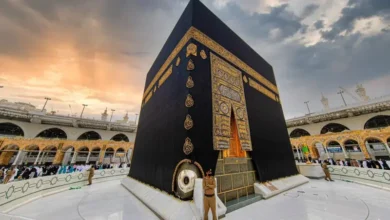 41e14c37 33ea 4686 81f6 a0f3918adea1 16x9 1200x676