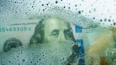 64ec31c8 243c 43ba ad34 da607482e10e