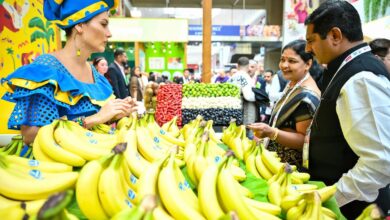 مهرجان جلفود فريش