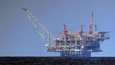 69cf83924c59b72d4a0dd8a7