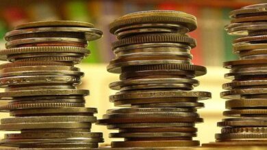 69d3f89c4236043b442f2c50