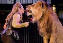 69dffb2342360424525bdf0e