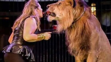 69dffb2342360424525bdf0e