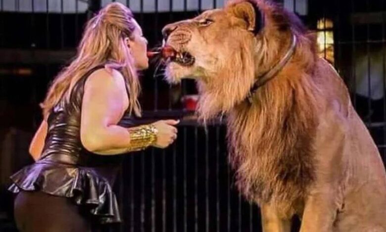 صورة تذكارية لطفلة مصرية تتحول إلى كابوس بسبب هجوم أسد عليها 1 69dffb2342360424525bdf0e